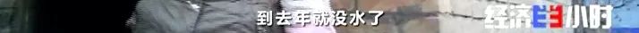 一夜之間，黃河支流變色！化工污水蔓延40公里，說好的河長呢……(圖14)