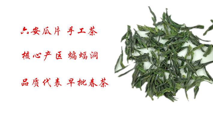 買六安瓜片新茶要注意些什么(圖1)