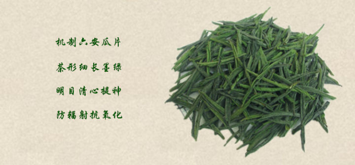 買六安瓜片新茶要注意些什么(圖3)