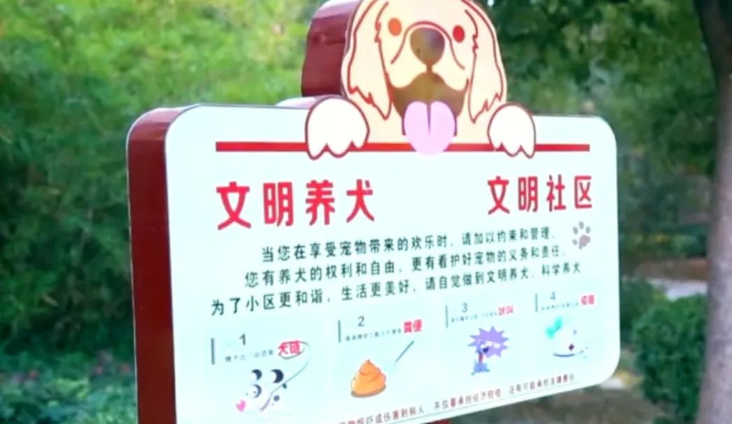 六安一地突發(fā)地震！震源深度7公里…@限期整改！涉及六安多小區(qū)(圖15)