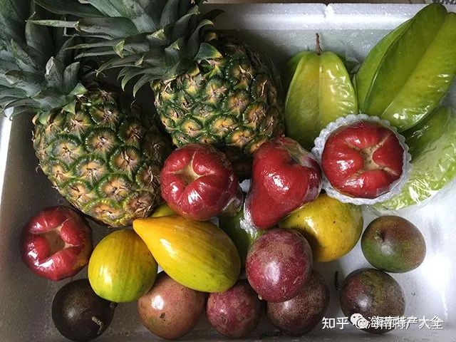 來(lái)海南必買(mǎi)的十大特產(chǎn),每一個(gè)都值得你帶回家(圖1) 來(lái)海南必買(mǎi)的十大特產(chǎn),每一個(gè)都值得你帶回家(圖1)
