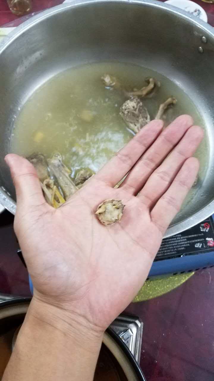 我真的在海南被坑哭了(圖2) 我真的在海南被坑哭了(圖2)