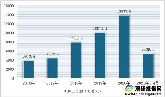 我國石英砂行業仍然處于供不應求局面進口量額持續增加(圖10)