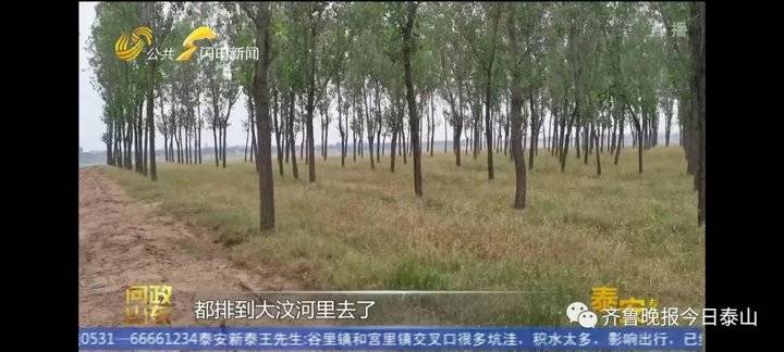 泰安9月24日接受電視問政,六個問題當晚研究整改不推諉不拖延(圖26) 泰安9月24日接受電視問政,六個問題當晚研究整改不推諉不拖延(圖26)