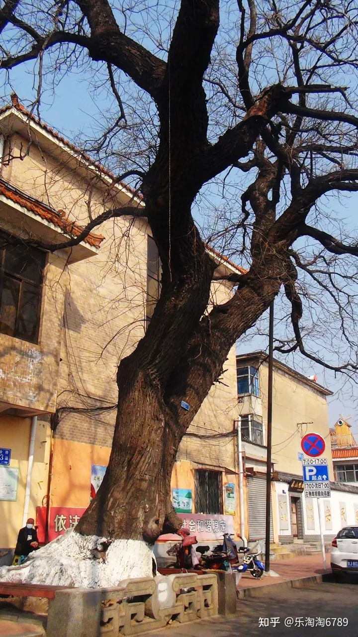 泰安:它是最古老街道之一,里面曾是豪宅林立,住著達官貴人,現僅存一處別樣景觀!(圖11) 泰安:它是最古老街道之一,里面曾是豪宅林立,住著達官貴人,現僅存一處別樣景觀!(圖11)