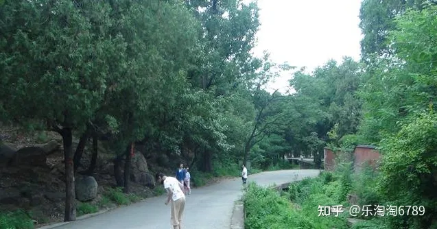 泰安：泰山南麓一處景點(diǎn)，清幽僻靜，是避暑觀光休閑的好地方！(圖8)
