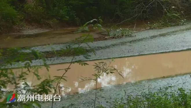 潮州鐵鋪溪流發黃淤泥堆積,都是洗砂場惹的禍(圖3)