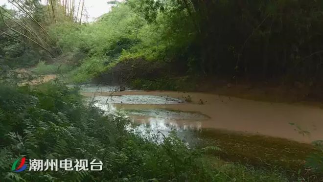 潮州鐵鋪溪流發黃淤泥堆積,都是洗砂場惹的禍(圖6)
