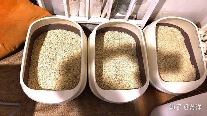 在58同城上買寵物靠譜嗎？(圖14)
