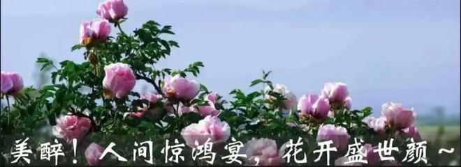 中鋪鎮開展砂石資源加工銷售違法違規行為大檢查大整治行動(圖8)
