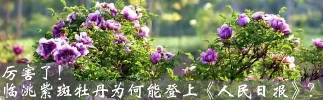 中鋪鎮開展砂石資源加工銷售違法違規行為大檢查大整治行動(圖9)