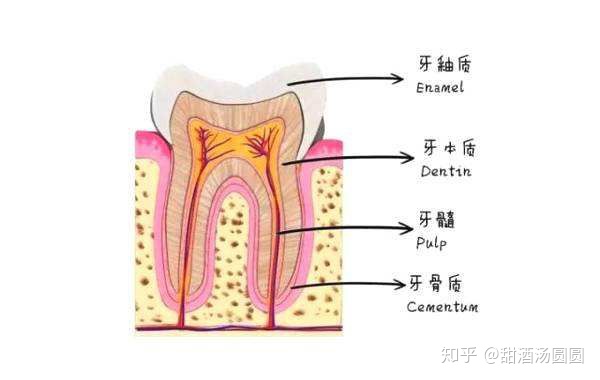 我在長沙市口腔醫(yī)院補(bǔ)牙全過程及經(jīng)驗(yàn)分享(圖7) 我在長沙市口腔醫(yī)院補(bǔ)牙全過程及經(jīng)驗(yàn)分享(圖7)