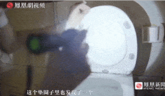 情侶酒店“激戰”40分鐘，4萬人在線圍觀：酒店是直播現場！(圖14)