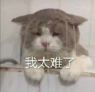 2022年家用烤箱推薦大全,附長(zhǎng)帝、美的、格蘭仕、蘇泊爾、西門(mén)子、松下、博世、老板、華帝、方太、北美等各大品牌20款不同價(jià)位烤箱推薦(建議收藏)(圖2) 2022年家用烤箱推薦大全,附長(zhǎng)帝、美的、格蘭仕、蘇泊爾、西門(mén)子、松下、博世、老板、華帝、方太、北美等各大品牌20款不同價(jià)位烤箱推薦(建議收藏)(圖2)