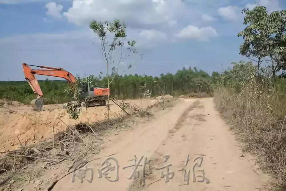 “不買我的砂就打死你!”海南這11個“砂霸”因涉黑涉惡覆滅(圖8) “不買我的砂就打死你!”海南這11個“砂霸”因涉黑涉惡覆滅(圖8)