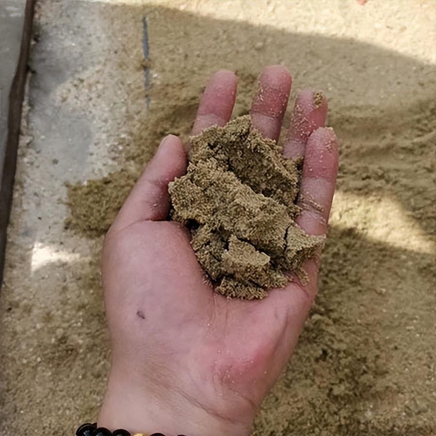 三槽輪斗式洗砂機帶你體驗節水生產模式(圖2) 三槽輪斗式洗砂機帶你體驗節水生產模式(圖2)