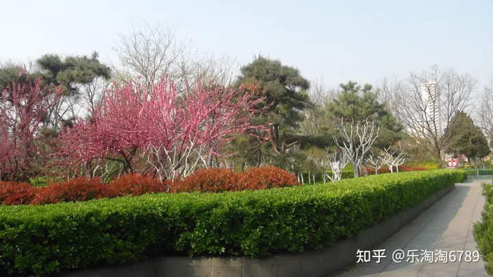 泰安：它是“皇城根里第一條街”，是泰安最繁華老街之一，如今還殘存些許影子，現(xiàn)卻幾無人知！(圖7)