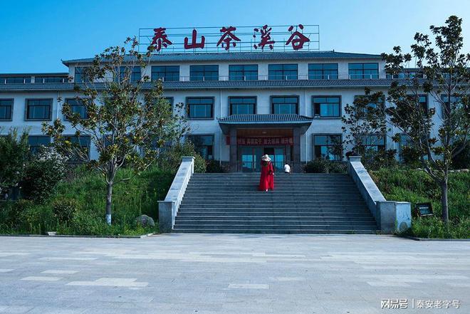 我為泰安老字號代言（六）—泰山茶溪谷?茶溪谷農(nóng)業(yè)發(fā)展有限公司(圖1)
