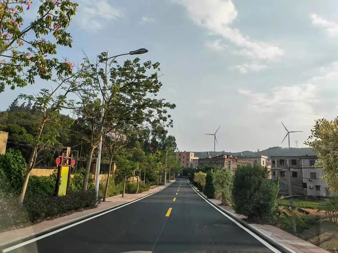 投資250多萬元！惠安這個村：鄉村道路“白改黑”鄉村振興“添新顏”(圖1)