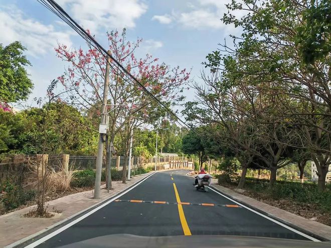 投資250多萬元！惠安這個村：鄉村道路“白改黑”鄉村振興“添新顏”(圖2)