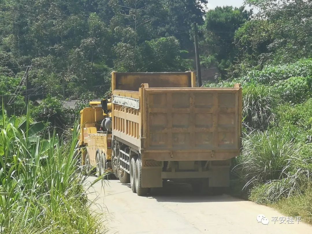 中沙鎮重拳打擊整治非法挖土洗砂行為(圖3)