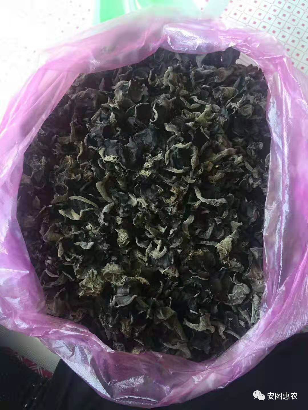 【供求信息】綜合(11.11)如您需要發布供求信息，請在文章下方留言(圖8)