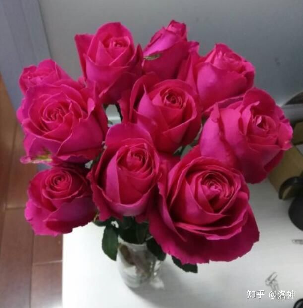 昆明斗南花市營(yíng)業(yè)時(shí)間、春節(jié)營(yíng)業(yè)時(shí)間、斗南花市地址、旅游攻略(圖13) 昆明斗南花市營(yíng)業(yè)時(shí)間、春節(jié)營(yíng)業(yè)時(shí)間、斗南花市地址、旅游攻略(圖13)