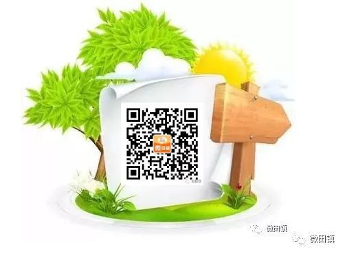 執(zhí)法動(dòng)態(tài)：田鎮(zhèn)分局強(qiáng)制拆除一處非法碎石洗砂設(shè)備(圖5)