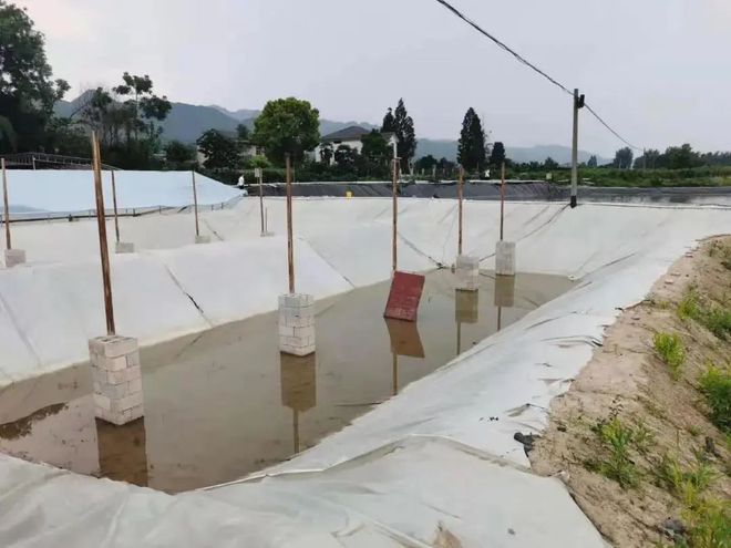非法占用農用地56畝搞水產養殖，被刑事拘留！(圖1)